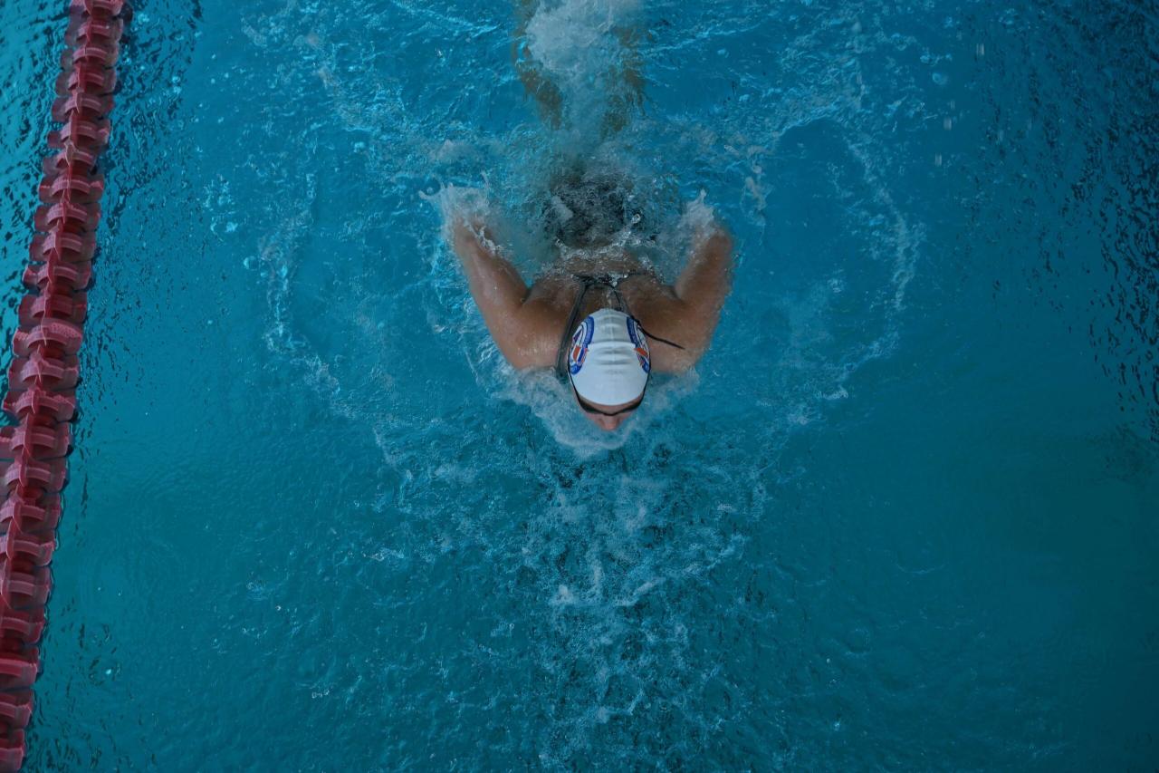 Olimpik Yüzme Havuzu