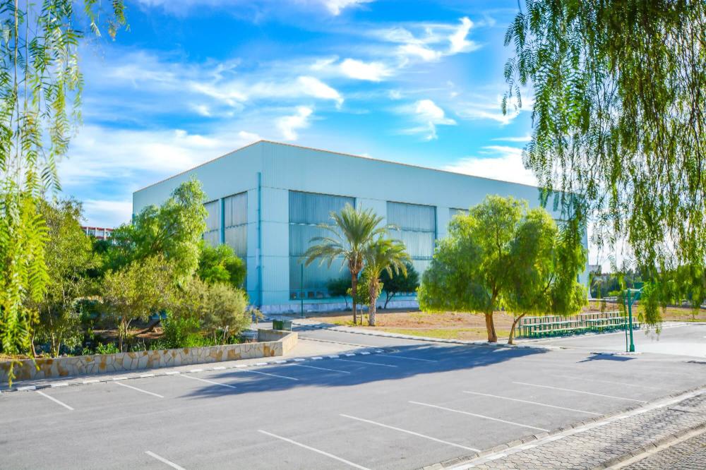 Olimpik Yüzme Havuzu